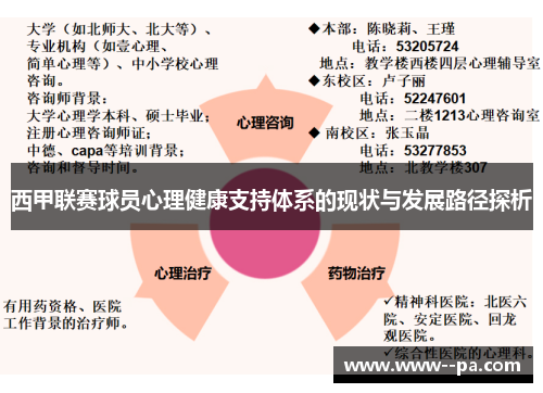 西甲联赛球员心理健康支持体系的现状与发展路径探析
