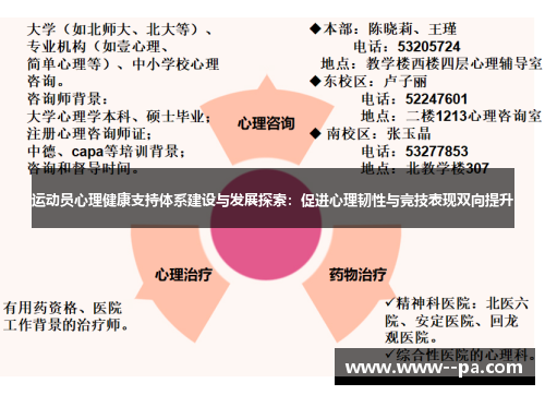 运动员心理健康支持体系建设与发展探索：促进心理韧性与竞技表现双向提升