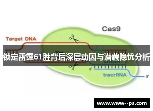 锁定雷霆61胜背后深层动因与潜藏隐忧分析 锁定雷霆61胜背后深层动因与潜藏隐忧分析
