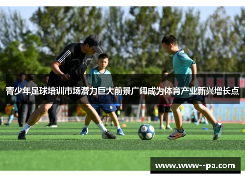 青少年足球培训市场潜力巨大前景广阔成为体育产业新兴增长点